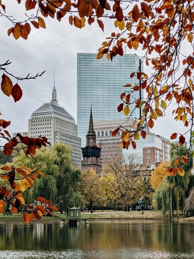 BOSTON EXPERIENCE