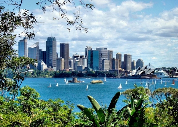 Wellington Education Sydney - Sydney