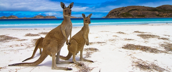 PROGRAMMA SOUTH AUSTRALIA - AREA METROPOLITANA - ADELAIDE