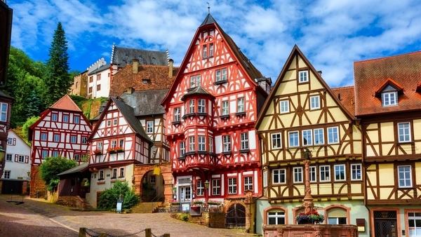 PROGRAMMA EXCHANGE/EXCHANGE PLUS - GERMANIA - GERMANIA
