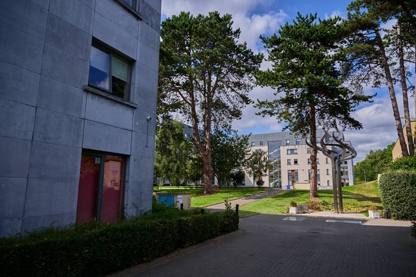 MARINO INSTITUTE OF EDUCATION  - DUBLINO