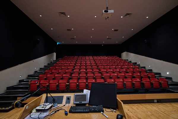 MARINO INSTITUTE OF EDUCATION  - DUBLINO