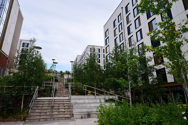 UNIVERSITY OF EXETER - EXETER