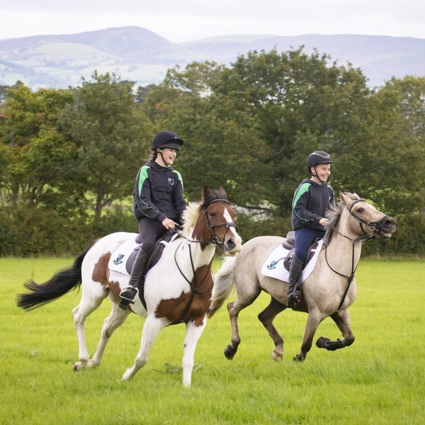 MYDDELTON COLLEGE - DENBIGH - GALLES