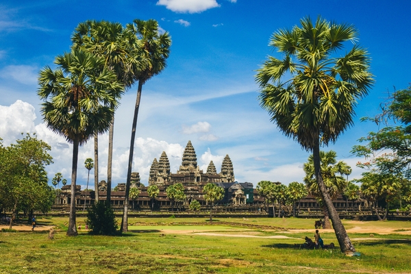THE GREEN LION - Asia, Africa, America Latina, Oceania