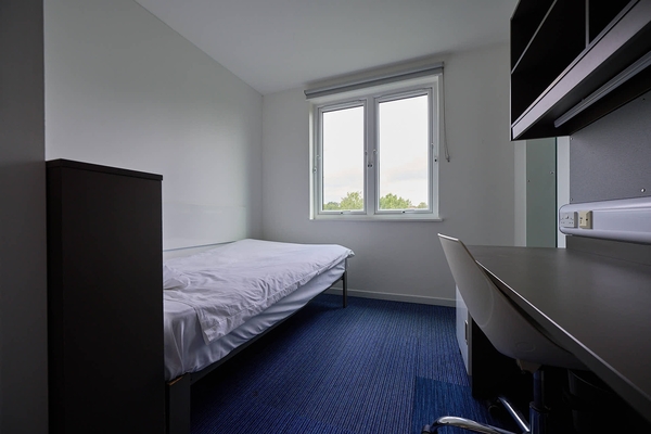 UNIVERSITY OF ESSEX - GRANDE LONDRA COLCHESTER