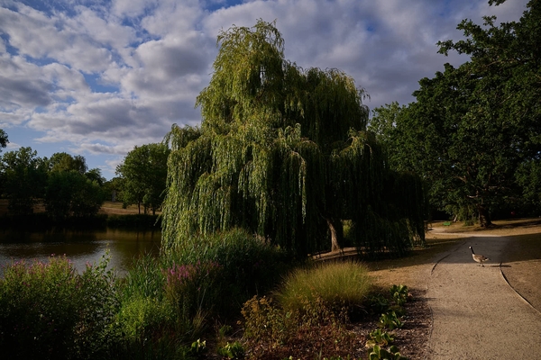 UNIVERSITY OF ESSEX - GRANDE LONDRA COLCHESTER