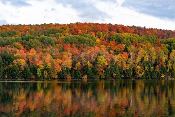WOODSTOCK ACADEMY - CONNECTICUT- WOODSTOCK