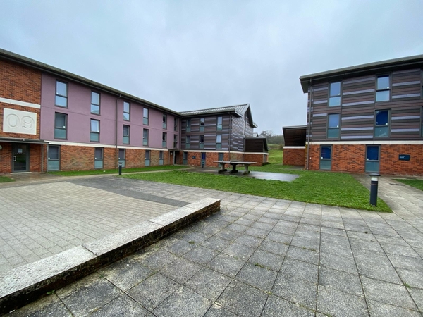 UNIVERSITY OF SUSSEX FALMER CAMPUS - ROYAL PAVILION EXPERIENCE