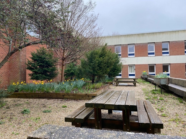 UNIVERSITY OF SUSSEX FALMER CAMPUS - ROYAL PAVILION EXPERIENCE