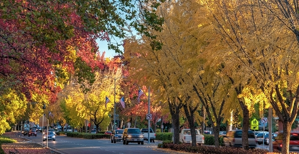 CHICO UNIFIED SCHOOL DISTRICT - CALIFORNIA - CHICO SACRAMENTO