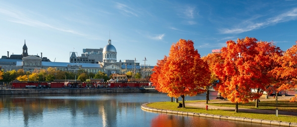 JOHN ABBOTT COLLEGE  - QUEBEC - MONTREAL