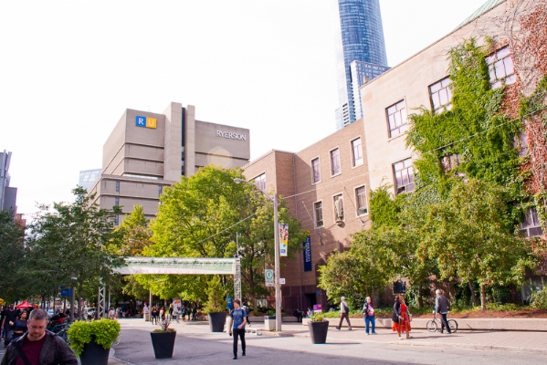 METROPOLITAN UNIVERSITY - TORONTO