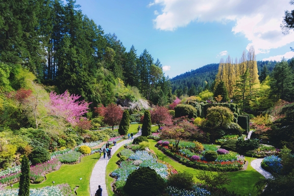 GREATER VICTORIA SCHOOL DISTRICT  - BRITISH COLUMBIA - VICTORIA