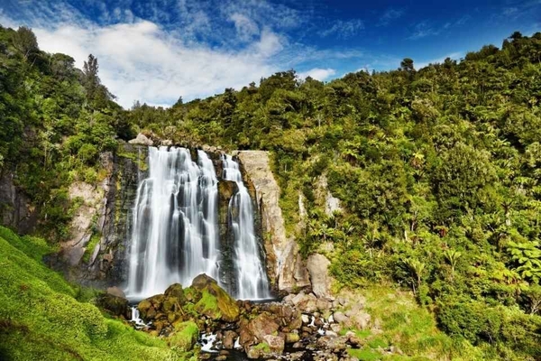 Waitomo Glowworm 