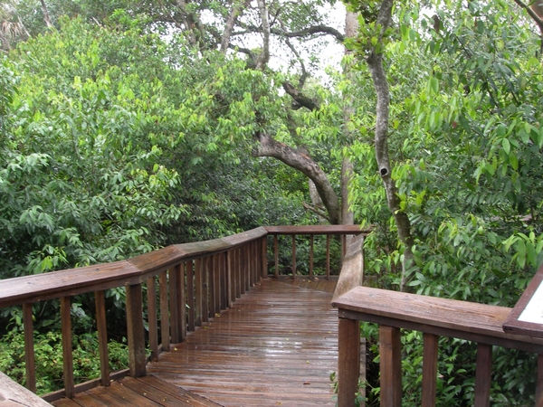 Boca Raton