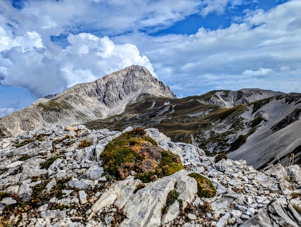 Escursione con laboratorio sulla Fauna Selvatica