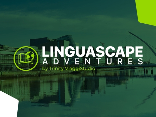 MARINO INSTITUTE OF EDUCATION  - DUBLINO