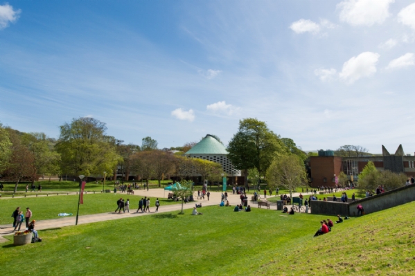 UNIVERSITY OF SUSSEX FALMER CAMPUS - BRIGHTON