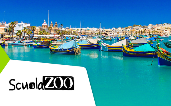 NSTS MALTA - MALTA GZIRA