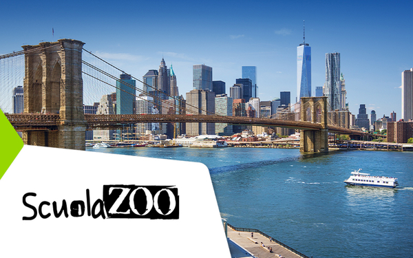 FORDHAM UNIVERSITY - NEW YORK