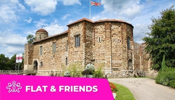 UNIVERSITY OF ESSEX - GRANDE LONDRA COLCHESTER - FLAT&FRIENDS