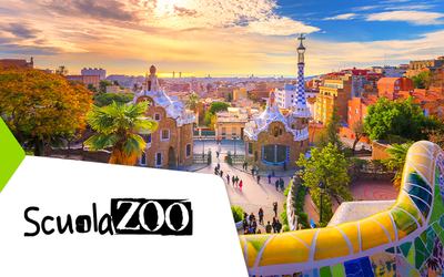 BARCELLONA - SHEFFIELD SCHOOL - SCUOLAZOO EDITION