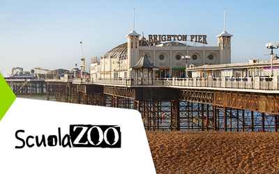 UNIVERSITY OF SUSSEX FALMER CAMPUS - SCUOLAZOO EDITION