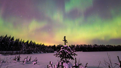 finlandia