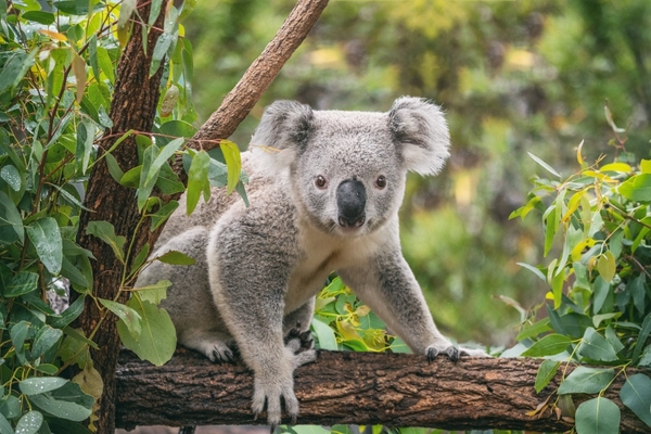 /public/moduli/anagrafica/3131/md/AdobeStock_291563221.jpeg