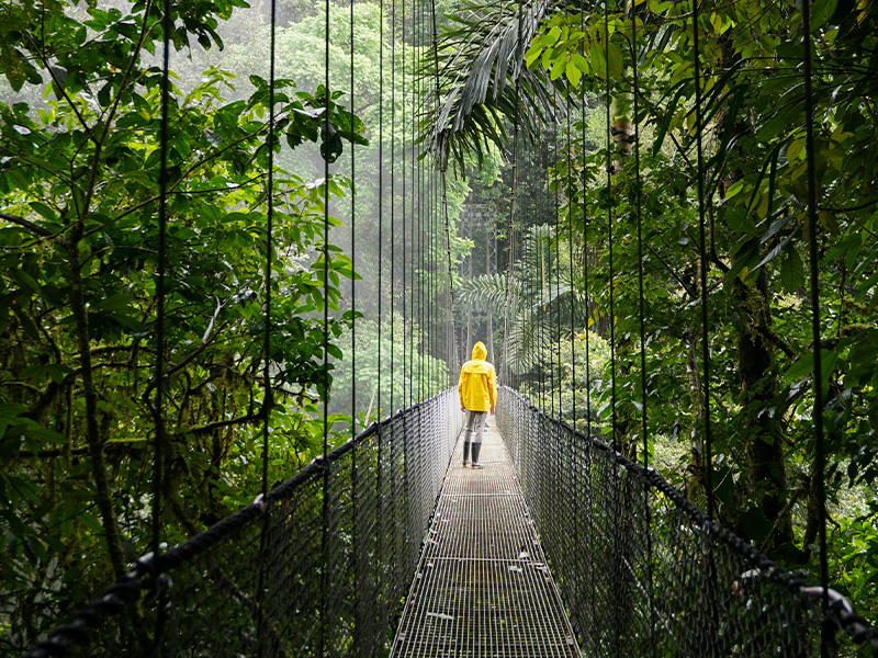 La Costa Rica è un piccolo Paese dell’America Centrale conosciuto in tutto il mondo per la sua straordinaria biodiversità e per lo stile di vita positivo e accogliente della sua popolazione. Considerata una delle nazioni più stabili e sicure dell’America Latina, si distingue anche per il forte impegno nella sostenibilità ambientale e nella tutela del territorio. Scegliere la Costa Rica per un programma scolastico all’estero significa immergersi in un contesto naturale unico, tra foreste tropicali, vulcani e spiagge incontaminate, vivendo al tempo stesso un’esperienza educativa in un ambiente sereno e stimolante. Se hai tra i 14 e i 18 anni e frequenti le scuole superiori, puoi vivere un’esperienza unica in Costa Rica, un Paese dinamico e accogliente dove natura straordinaria e stile di vita sereno si incontrano, offrendoti nuove prospettive di crescita personale e culturale. Non è richiesto alcun requisito linguistico per partecipare al programma.Il programma prevede anche la possibilità di partecipare a escursioni facoltative alla scoperta del paese, dell’Argentina e del Perù.