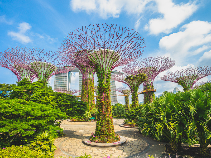 Per chi sogna un mix fra città ultramoderne, natura tropicale e scuole internazionali, il percorso combinato Malesia e Singapore offre un’esperienza formativa, stimolante e indimenticabile. Tra spiagge, siti storici, attrazioni moderne e cucina locale, c’è sempre qualcosa di nuovo da esplorare. Ideale per ragazzi 14-18 anni che vogliono imparare l’inglese vivendo scenari diversi in un unico viaggio.