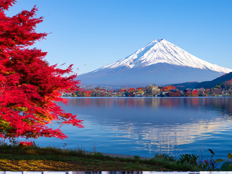   Grazie al contributo Estate INPSieme puoi partire per una vacanza studio in Giappone e immergerti nella cultura nipponica a 360 gradi. Questo straordinario Paese è una meta affascinante, perfetta per vivere un’esperienza che unisce tradizione e modernità, natura e tecnologia, studio e divertimento. Il Giappone non è solo templi antichi e città ultramoderne: è una destinazione ideale per una vacanza studio INPSieme perché offre un’ampia varietà di esperienze culturali, naturalistiche e linguistiche. Oltre ai suoi iconici paesaggi - dai giardini zen alle metropoli illuminate da neon -potrai scoprire quartieri storici, assaporare la cucina locale e conoscere da vicino le abitudini e la quotidianità giapponese. Scegli questa meta unica per una vacanza studio nel periodo estivo con il Bando INPS e preparati a vivere un’esperienza formativa indimenticabile, tra cultura, innovazione e tradizione. Che cosa stai aspettando? Il tuo soggiorno studio in Giappone ti aspetta!  