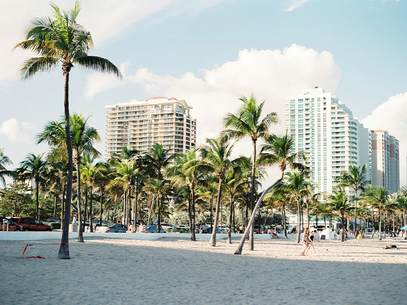 Dove vivrai tutto questo? A Miami, una delle citt&agrave; americane per eccellenza; situata in Florida, nel sud degli stati uniti. Circondata da spiagge, oceano e vibes da sogno