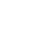 mini logo trinity